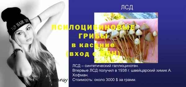 прущая мука Бронницы