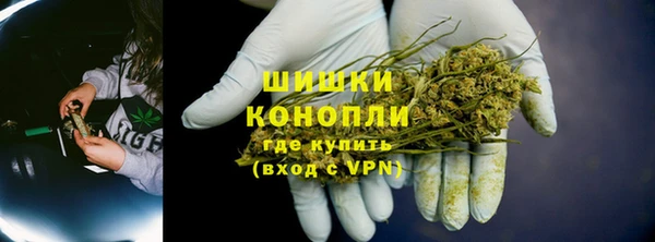 СК Бородино