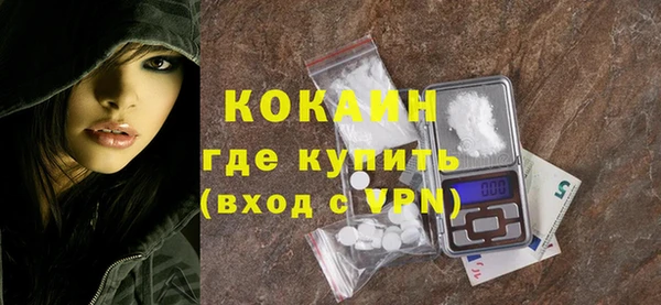 гашик Ладушкин