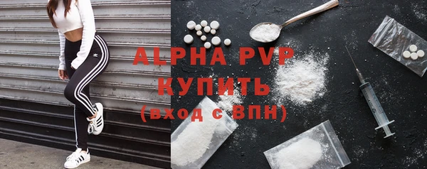 СК Бородино