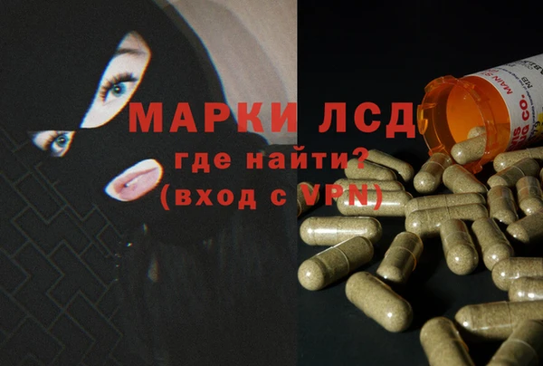 СК Бородино