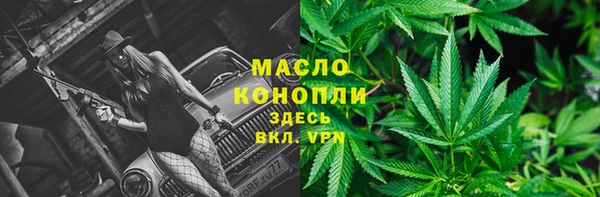 СК Бородино