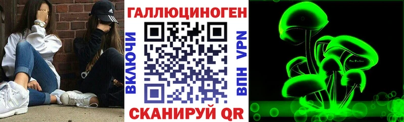 mega tor  Вельск  Псилоцибиновые грибы мицелий 